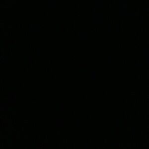 Louis Vuitton Black ScarfBANDEAU